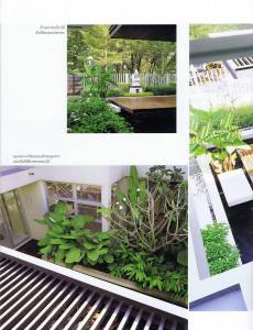 Modern-tropical-garden-a-08