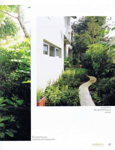Modern-tropical-garden-a-11