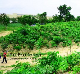 Ptt-Eco-forest-Rayong-cover